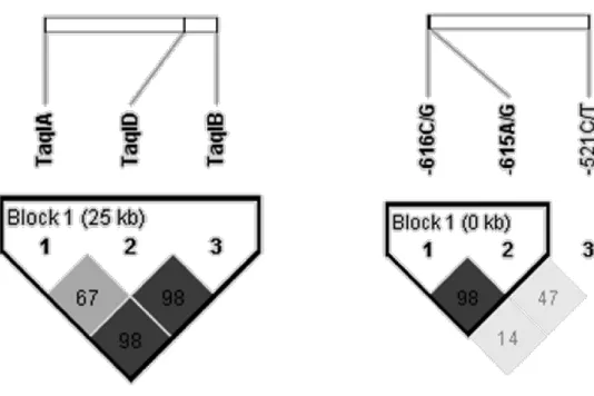 3. ábra - A DRD2/ANKK1 és a DRD4 SNP-k kapcsoltsági értékei.