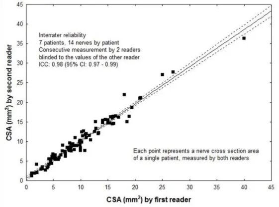 Figure 5. Inter-rater reliability. CSA measurements of 14 segments by two raters within  one session