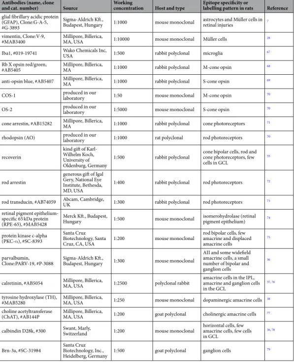 Table 1.  Primary antibodies used in the study.