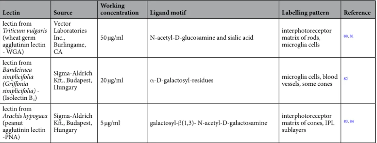 Table 2.  Tested lectins and their labelling pattern in the retina.