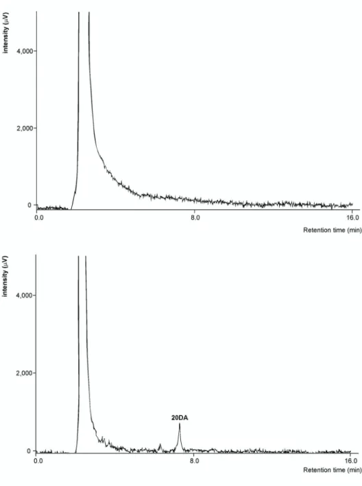 Fig. 6. HPLC chromatograms of brain samples for the analysis of 20-hydroxyecdysone  2,3;20,22-diacetonide on a Kinetex XB-C18 (4.6 × 250 mm, 5 μm) column