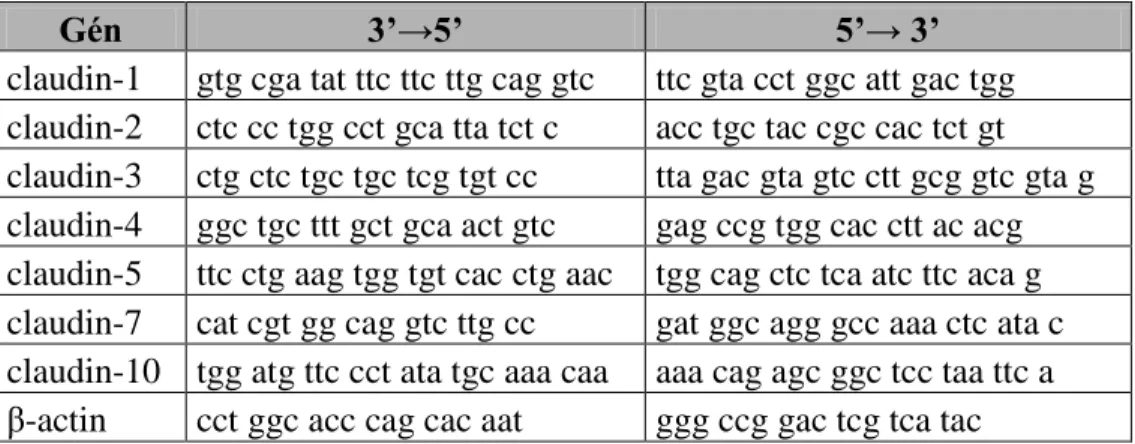 8. táblázat Claudinok és a β-actin primerszekvenciái 