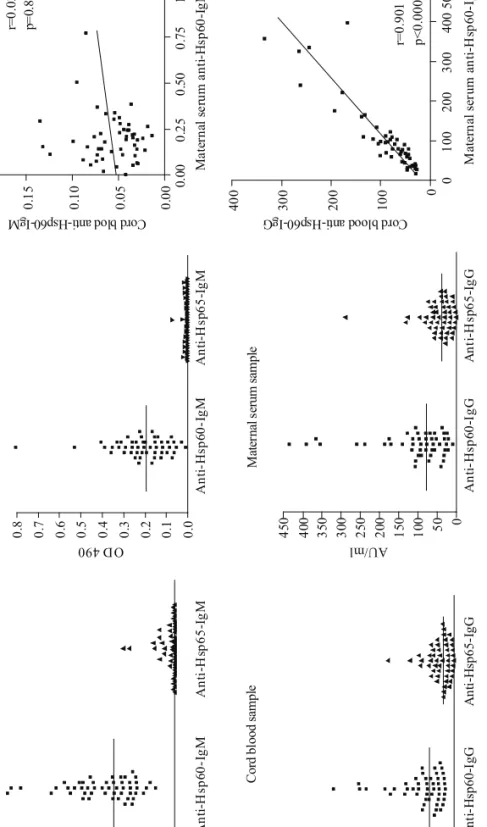 Fig. 1. Levels of IgM and IgG anti-Hsp60 autoantibodies and anti-Hsp65 antibodies in serum of healthy mothers and in the cord blood samples of their newborns  Means of background corrected duplicate measurements are indicated; horizontal line represents th