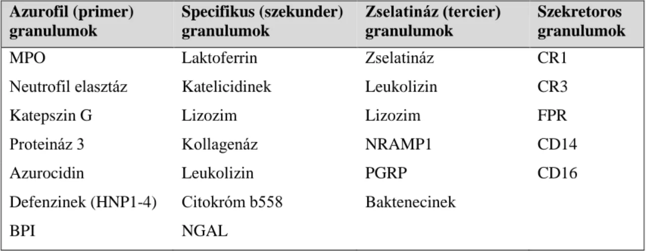 3. táblázat: a neutrofil granulocita granulumjainak jellemző összetevői 