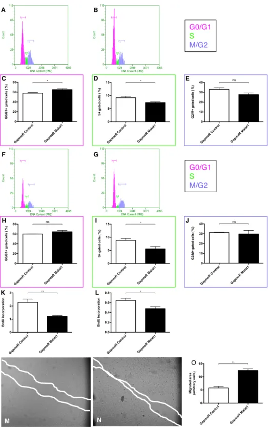 Figure 3.  Functional role of Malat1 in HUVEC biology. DNA histograms showing HUVECs detected in G0/