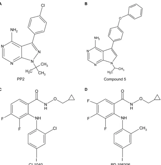 Figure 1. The structure of kinase inhibitors used in this study. PP2 (A) and compound 5 (B) are Src-family tyrosine kinases inhibitors, while CI- CI-1040 (C) and PD 198306 (D) are MEK inhibitors.