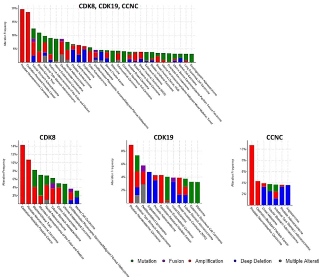 Figure 3. cBioPortal analysis of frequencies of the indicated alterations of CDK8, CDK19, and CCNC  (gene amplification red, deep deletion blue, mutation green) among different cancer subtypes