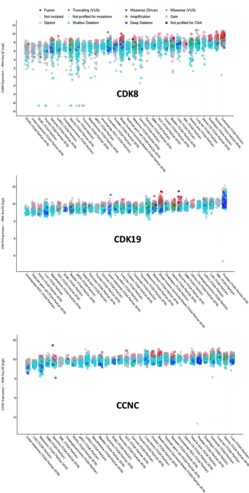 Figure 5. Expression of CDK8/CDK19/CCNC in different tumor types in the TCGA database  (cBioPortal), arranged by median
