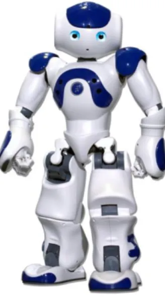 18. ábra: A KSERA projektben használt Nao robot (forrás: 