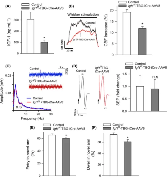 Figure 1A shows that mice receiving TBG-Cre-AAV8 had significantly lower serum IGF-1 levels compared with control mice receiving  TBG-eGFP-AAV8
