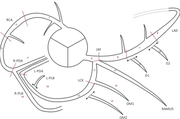 Figure  1.  Coronary  artery  segmentation  diagram  by  the  Society  of  Cardiovascular  Computed Tomography (SCCT) [12] 