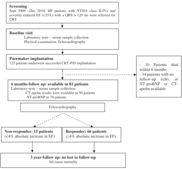 Figure 1. Flowchart of patient enrollment and follow up.