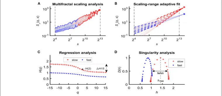 FIGURE 2 | Steps of bimodal multifractal SSC analysis. (A) Scaling function of SSC as moment-wise generalization of variance profiles