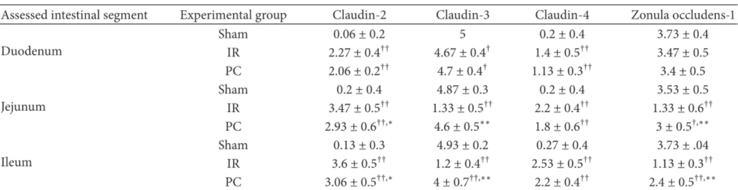 Table 3: Semiquantitative analysis of intestinal epithelial tight junction components according to immunostained sections.