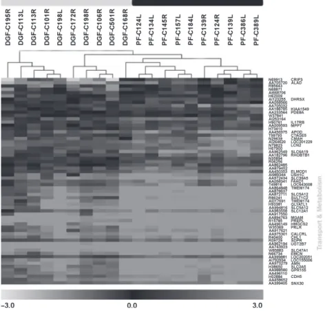 Figure 1 Dendrogram derived by unsupervised hierarchical clustering of gene expression profiles dichotomizing delayed graft function (DGF) group (grey bar) from primary function (PF) (black bar), all received steroid pretreatment