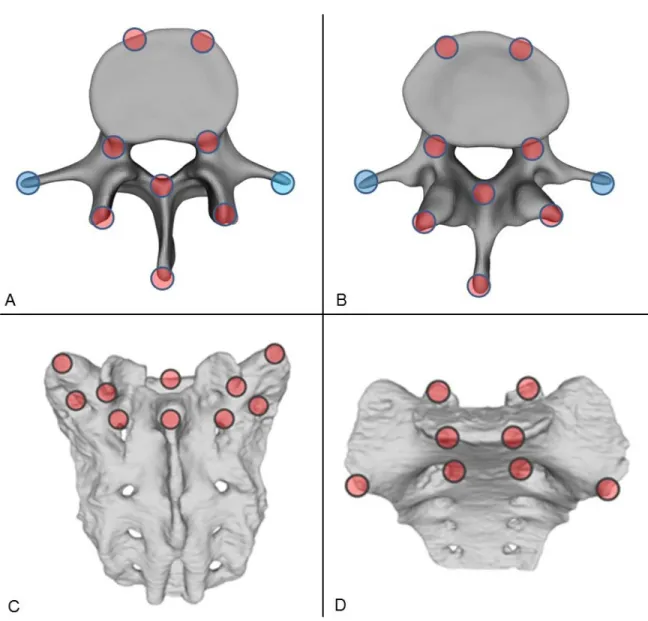 Figure 7. Selection of control points for rigid surface registration. Ten control points were  selected from the superior (A) and eight from the inferior (B) reference regions of the  vertebra and from the aligned geometry, respectively