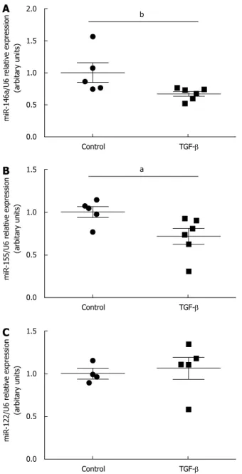 Figure 3  Effect of transforming growth factor-β on the expression of  microRNA-146a (A), microRNA-155 (B), and microRNA-122 (C) in duodenal  fibroblasts