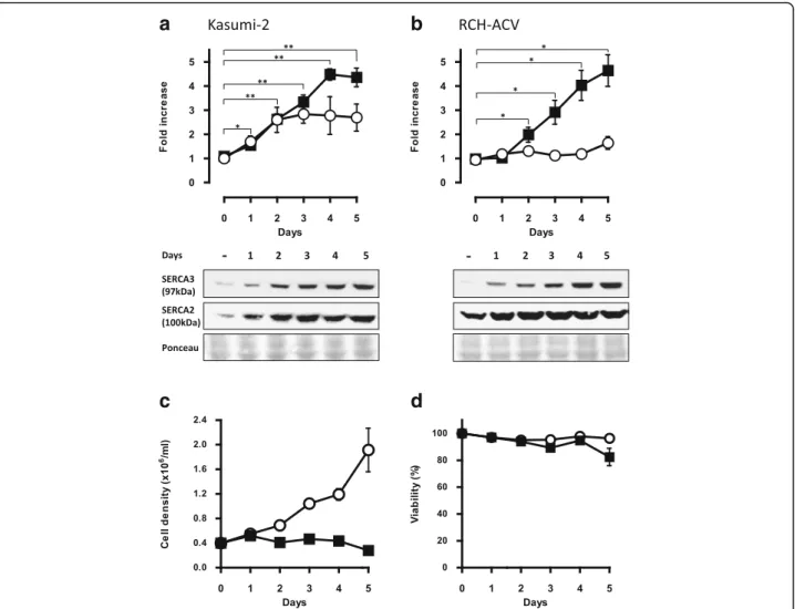 Fig. 2 Time course of SERCA expression in PMA-treated precursor B ALL cell lines. Kasumi-2 (a) and RCH-ACV (b) cells were treated with 10 −7 M PMA and SERCA3 (closed squares) as well as SERCA2 (open circles) expression was detected by Western blotting (low