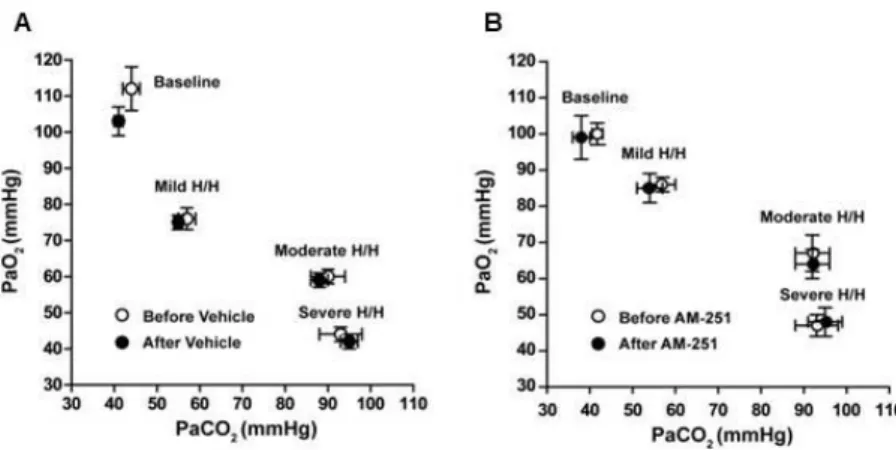 Figure  9:  Inhalation  of  three  different  gas  mixtures  containing  decreased  O 2 -  and  increased CO 2 -content (as compared to air) induced reproducible levels of hypoxia and  hypercapnia  before  and  after  the  administration  of  AM251  (Figur