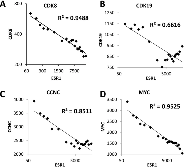 Figure 1: CDK8/19 expression inversely correlates with estrogen receptor expression.  Correlation between the expression of  ESR1 (ERα) and A