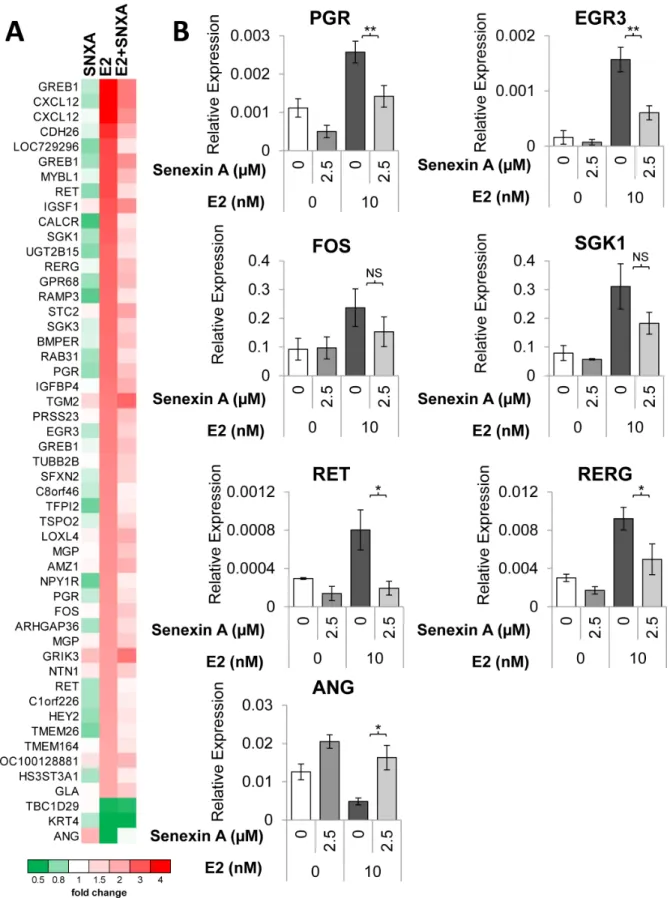 Figure 5: Transcriptomic analysis of the effects of CDK8/19 inhibition on ER signaling