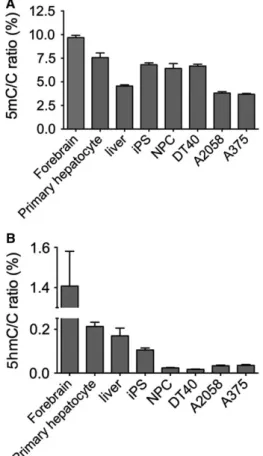 Fig. 3. Genomic 5mC/C (A) and 5hmC/C levels (B) detected by LC-MS upon 5-aza-2 0 -deoxycytidine treatment