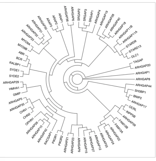 Figure 5 shows the linear regression between the EST and micro- micro-array data. We identified good relationship between the two data  sets in the brain (r 2  = 0.82293); however, no statistically  signifi-cant linear relationship was obtained in the othe