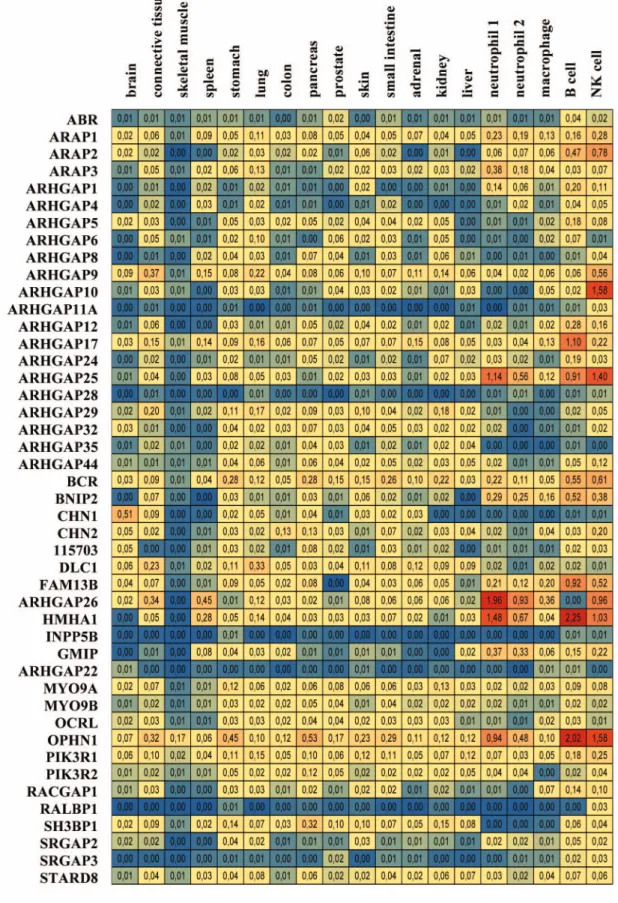 Table 3. Expression profile of human Rho family GAPs based on EST tumor database