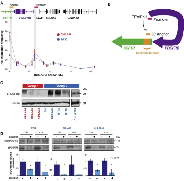 Figure 8. A Promoter-Enhancer Loop Regulates PDGFRB Expression and Confers Dasatinib/Nilotinib Sensitivity in Group 2 ATRT (A) 3C analyses of PDGFRB enhancer:promoter interaction in ATRT cell lines CHLA05 (red) and BT12 (blue)