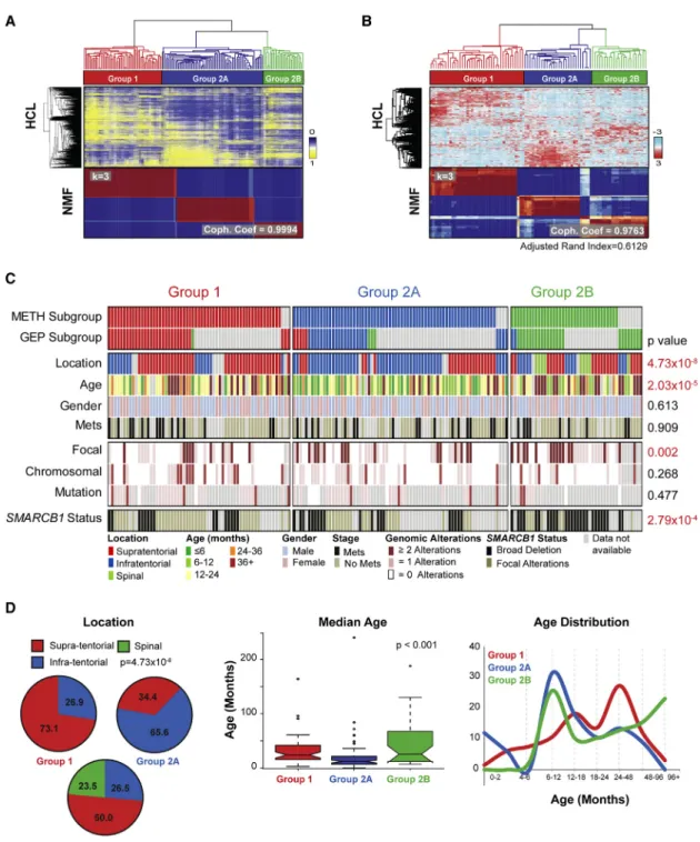 Figure 2. ATRTs Comprise Three Epigenetic Subgroups with Distinct Clinical Profiles and Genotypes