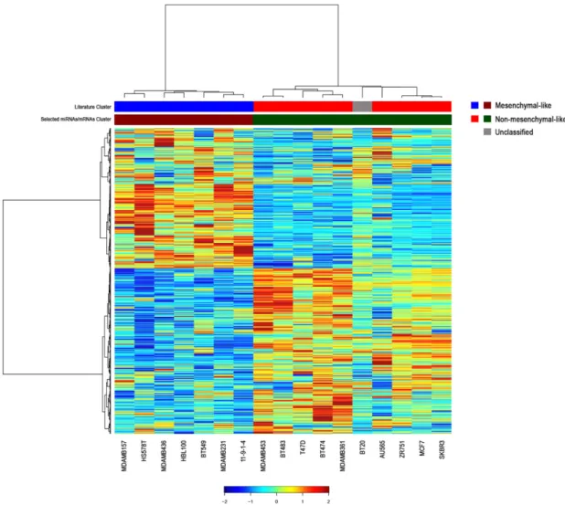 Figure 2. Hierarchical clustering of the most significant messenger RNAs (mRNAs) correlated with  the 39 miRNAs in breast cancer cell lines