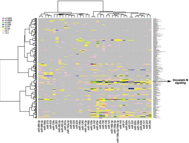 Figure 3. Heatmap of association between correlated miRNAs-mRNAs and signaling pathways in  breast cancer cell lines