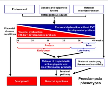 FigUre 1 | Pathogenesis of preeclampsia. Preeclampsia is a syndrome with  heterogeneous etiology and a spectrum of phenotypes