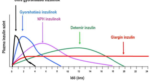 1. ábra. Különböző inzulin készítmények hatásának időbeli dinamikája (6). 