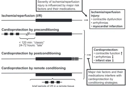 Fig. 1. The concept of ischemia/reperfusion injury and cardioprotection by pre-, post-, and remote conditioning is expressed graphically in the figure, where black bars denote periods of ischemia