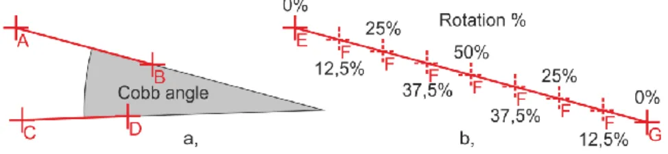Figure 11.  The Cobb angle (a,) and the rotation % (b,)  