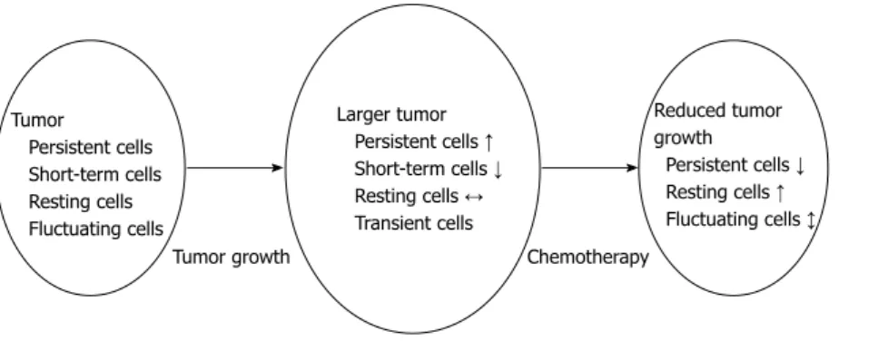 Figure 1  Connection between clonal behaviour and cellular constitution of the tumor. Differences in clonal behavior result in changes of the cellular constitution  of colorectal cancer during normal tumor growth and after chemotherapy as well