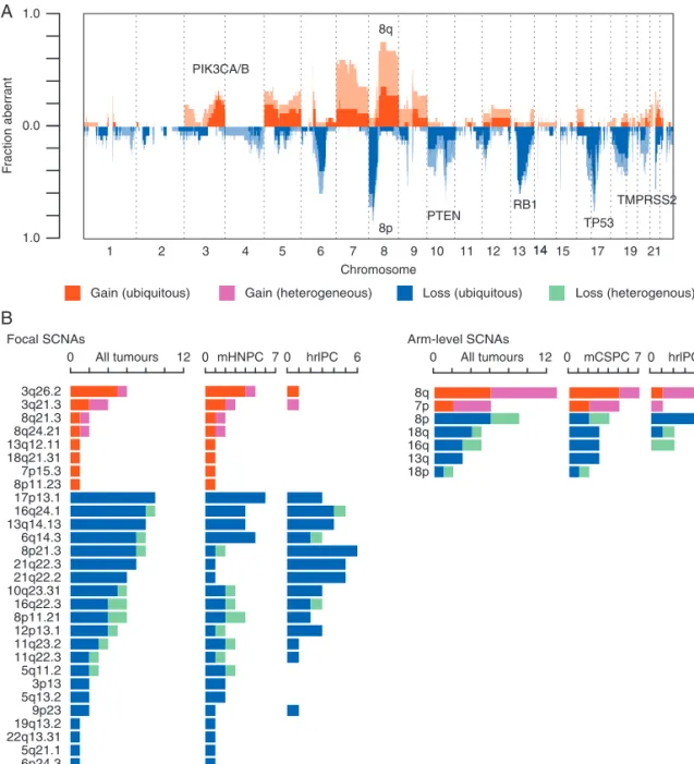Figure 3. Recurrent somatic copy number alterations (SCNAs) in prostate cancer. (A) An overview of the SCNA landscape across all 25 tu- tu-mours: fraction of cohort (y-axis) with ubiquitous gains (red), heterogeneous gains (pink), ubiquitous loss (dark blu
