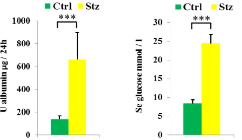 Figure 5: Urinary albumin (A) and blood glucose (B) levels in Streptozotocin-injected and control  rats