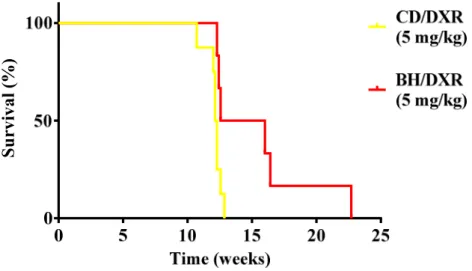 Figure 12: Survival of the Doxorubicin-injected rats. 