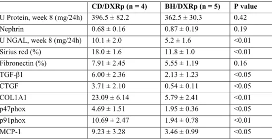 Table  2:  Comparison  of  doxorubicin-injected  (DXR)  Rowett,  black  hooded  (BH)  and  Charles  Dawley  (CD) rats with similar proteinuria (BH/DXRp and CD/DXRp subgroups)