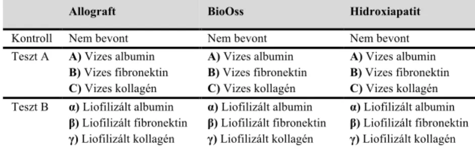 1. Táblázat. In vitro kísérleti csoportok. A Teszt A csoportban a csontgraftok humán szérum  albumin  (A),  vagy  fibronektin  (B),  illetve  sertés  kollagén  I  (C)  vizes  oldatában  inkubálva  készültek