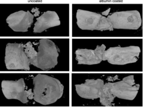 Figure  7.  Reconstructed  3-dimensional  µCT  images  of  osteotomized  rat  femurs  after  4  weeks  of  the  grafting  procedure