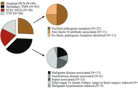 Figure 3. Stratification of TMA patients based on disease etiology 