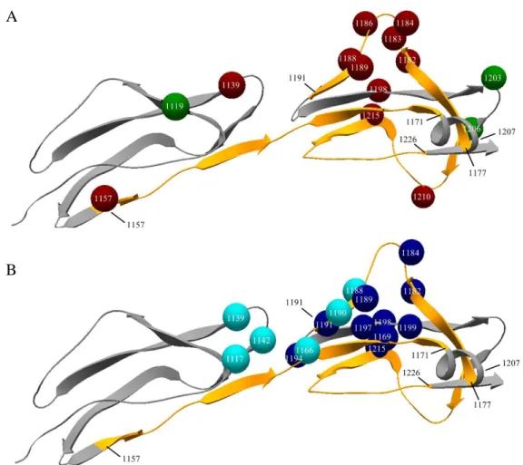 Figure 5. Linear epitopes, point mutations and ligand binding sites of Factor H 