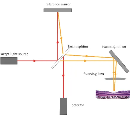 Figure 9.: Schematic drawing of a swept-source OCT device. The light source here is a  laser sweeping through the optical bandwidth with extremely high speed
