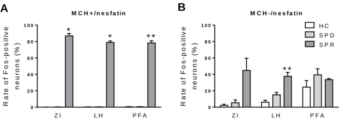 Figure  9.  The  neuronal  (Fos)  activation  of  the  melanin-concentrating  hormone  (MCH)-positive  and  MCH-negative  nesfatin  cell  populations  of  different  hypothalamic/thalamic structures as a result of REM sleep deprivation and ‘REM  sleep rebo