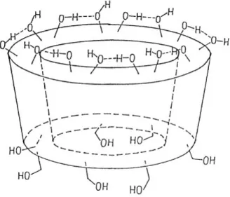 4. ábra: A ß-ciklodextrin-gyűrű vázlatos ábrázolása [19] 