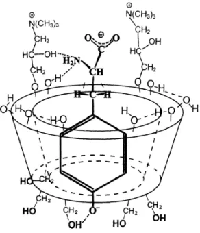 Figure 1.: Possible structure of the anionic complex of L-tyrosine and 