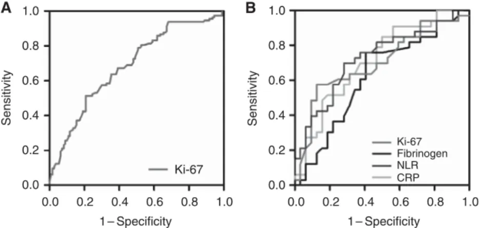 Figure 4. Sensitivity and specificity analyses of Ki67 by ROC analysis. (A) in all epithelioid MPM patients with follow-up of at least 12.0 months (n ¼ 221) showed an area under the curve of 0.68